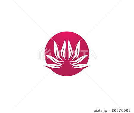Beauty flower logo illustration Beauty flower logo illustration 80576905