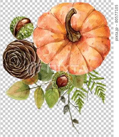 Autumn and animal watercolor 80577105