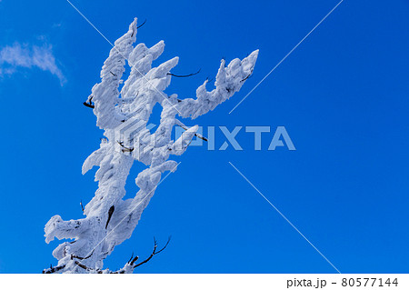 雪の英彦山 80577144