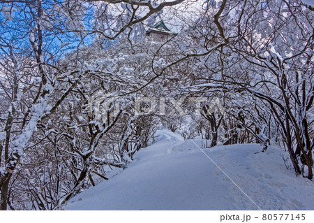 雪の英彦山 80577145