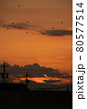 夕焼けと街並みのシルエット 80577514