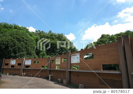 砧公園のバードサンクチュアリにある野鳥観察窓 80578017