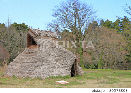 長者ケ原遺跡　新潟県糸魚川市 80578303
