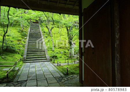 京都嵯峨野で散策 京都嵯峨野で散策 80578983