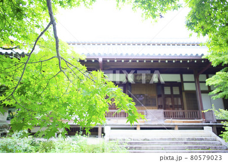 京都嵯峨野で散策 京都嵯峨野で散策 80579023