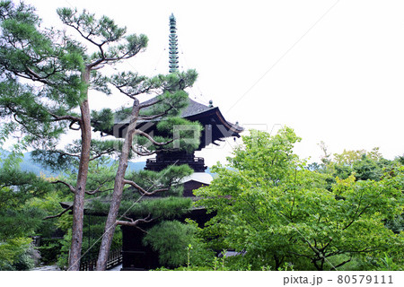 京都嵯峨野で散策 京都嵯峨野で散策 80579111
