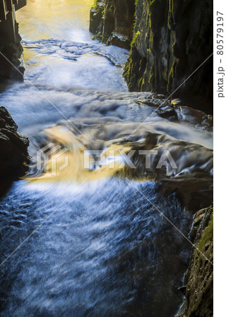 山口県　美祢市　秋芳洞　鍾乳洞　洞窟　川　入口 80579197