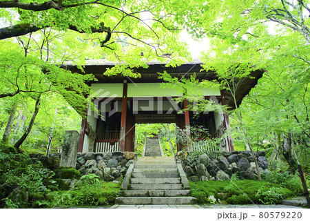 京都嵯峨野で散策 京都嵯峨野で散策 80579220