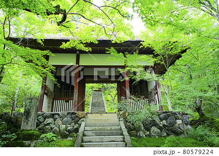 京都嵯峨野で散策 京都嵯峨野で散策 80579224