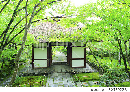 京都嵯峨野で散策 80579228