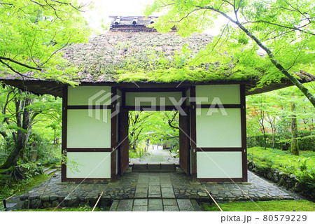 京都嵯峨野で散策 京都嵯峨野で散策 80579229