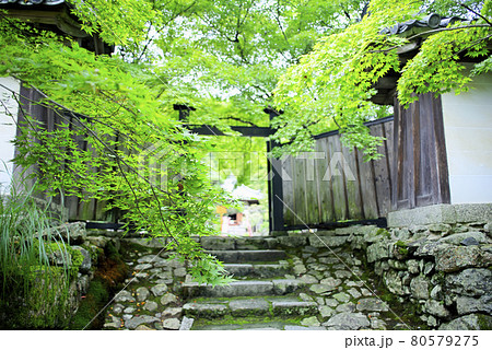京都嵯峨野で散策 京都嵯峨野で散策 80579275