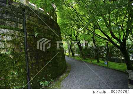 京都嵯峨野で散策 京都嵯峨野で散策 80579794