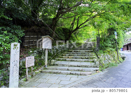 京都嵯峨野で散策 京都嵯峨野で散策 80579801