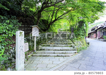 京都嵯峨野で散策 京都嵯峨野で散策 80579803