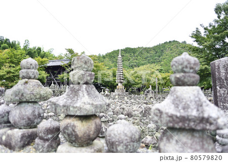 京都嵯峨野で散策 京都嵯峨野で散策 80579820