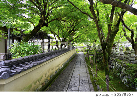 京都嵯峨野で散策 京都嵯峨野で散策 80579957