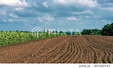 A plowed field against the backdrop of a church, forest, clouds in the sky and ripening sunflowers 80580445
