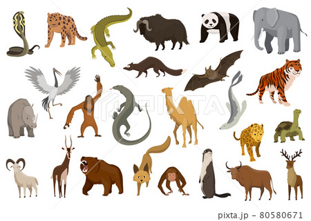 Collection of cute vector animals. Hand drawn animals which are common in Asia. Icon set isolated on a white background Collection of cute vector animals. Hand drawn animals which are common in Asia. Icon set isolated on a white background 80580671