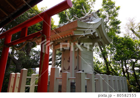 白い神社 80582555