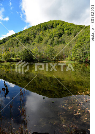 乗鞍高原 一の瀬園地の風景 乗鞍高原 一の瀬園地の風景 80582951
