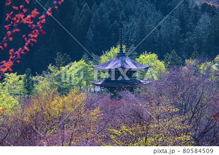 山の五重塔 山の五重塔 80584509