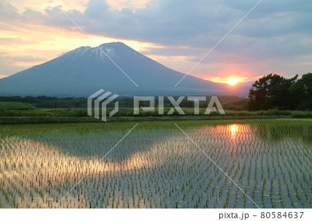 水田に映り込む岩手山と夕陽 水田に映り込む岩手山と夕陽 80584637