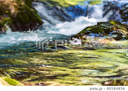 早朝の菊池渓谷の美しい風景 早朝の菊池渓谷の美しい風景 80584856