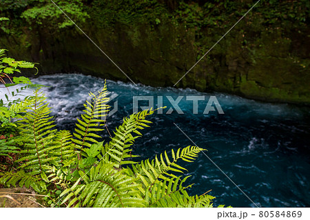 早朝の菊池渓谷の美しい風景 早朝の菊池渓谷の美しい風景 80584869
