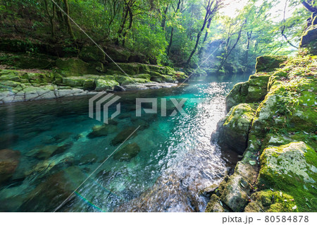 早朝の菊池渓谷の美しい風景 80584878