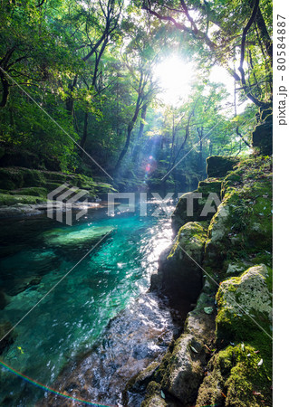 早朝の菊池渓谷の美しい風景 早朝の菊池渓谷の美しい風景 80584887