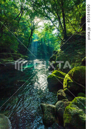 早朝の菊池渓谷の美しい風景 早朝の菊池渓谷の美しい風景 80584890