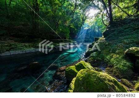早朝の菊池渓谷の美しい風景 早朝の菊池渓谷の美しい風景 80584892