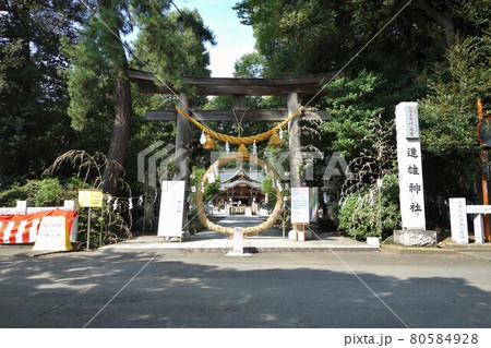 茅の輪 茅の輪 80584928