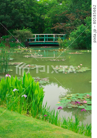 浜名湖ガーデンパーク　花の美術館の水の庭と太鼓橋 80585662