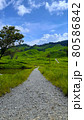 砥峰高原 麓から 小道 80586842