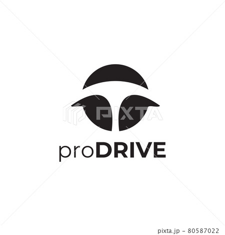 Driving course logo design template Driving course logo design template 80587022