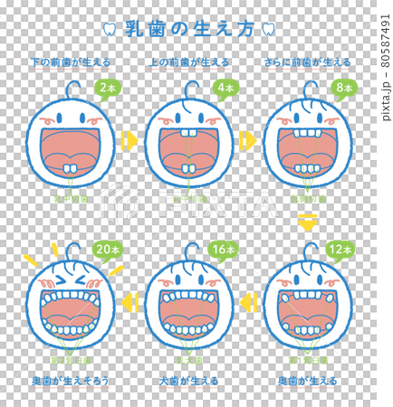 が大特価 その2 乳歯ケースイラスト本 メモリアル セレモニー用品 Ksc Kcf Org