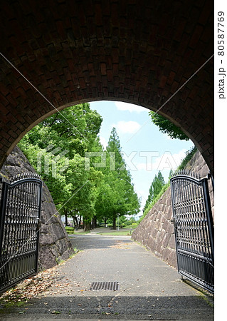 レトロな煉瓦アーチとメタセコイア 80587769