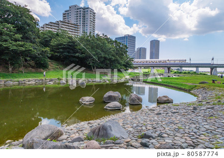 公園の風景　二子玉川の街並みを映す水面　東京都　世田谷区立兵庫島公園 80587774