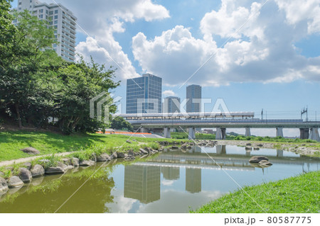 公園の風景　二子玉川の街並みを映す水面　東京都　世田谷区立兵庫島公園 80587775