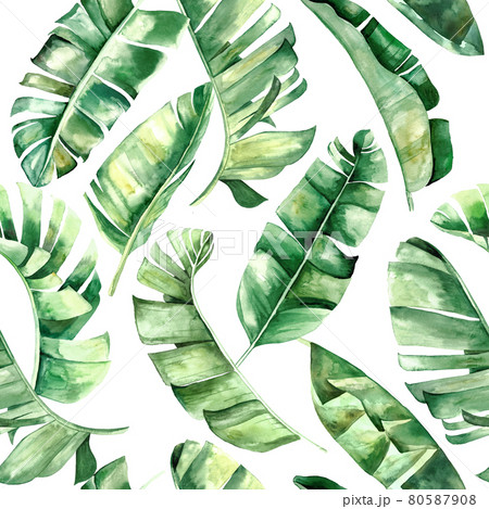 Watercolor banana tropical leaves seamless pattern illustration Watercolor banana tropical leaves seamless pattern illustration 80587908