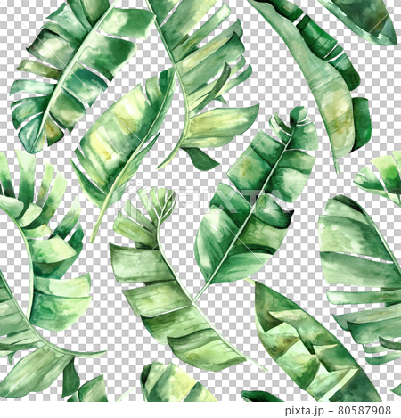 Watercolor banana tropical leaves seamless pattern illustration Watercolor banana tropical leaves seamless pattern illustration 80587908