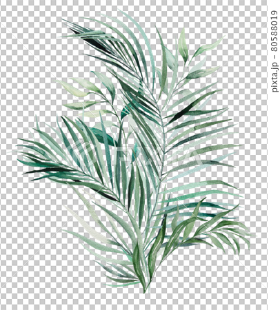 Watercolor tropical leaves bouquet illustration Watercolor tropical leaves bouquet illustration 80588019