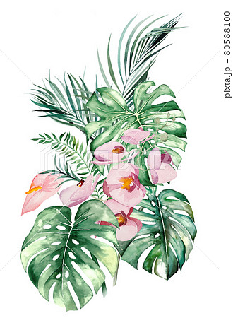 Watercolor tropical flowers and leaves bouquet illustration 80588100