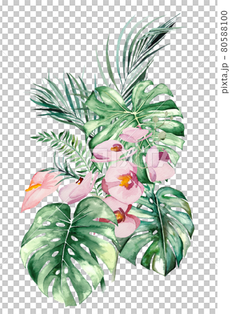 Watercolor tropical flowers and leaves bouquet illustration Watercolor tropical flowers and leaves bouquet illustration 80588100