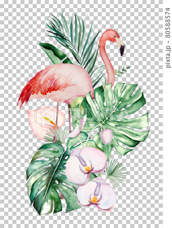 Watercolor Pink Flamingo Tropical Leaves And Pixta