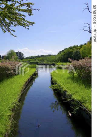 夏の科学万博記念公園(つくば市) 夏の科学万博記念公園(つくば市) 80588680