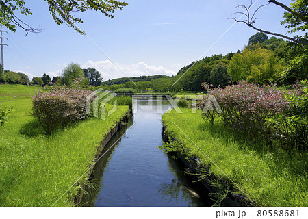 夏の科学万博記念公園（つくば市） 80588681