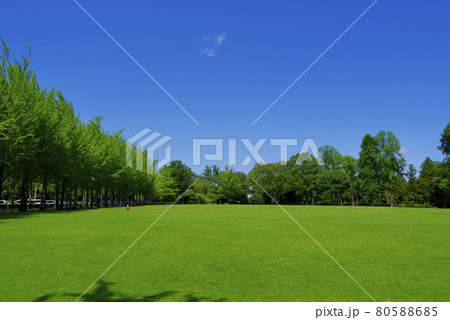 夏の科学万博記念公園(つくば市) 夏の科学万博記念公園(つくば市) 80588685